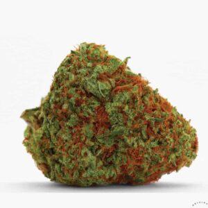 orange bud